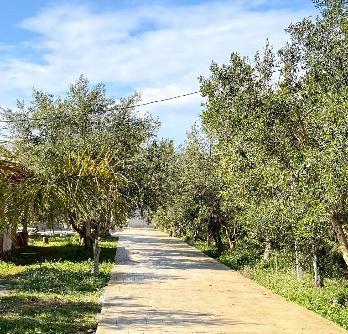 Bed & Breakfast Rida Village Ksamil Island Albania