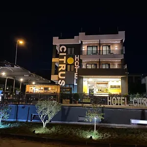 Citrus Ksamil